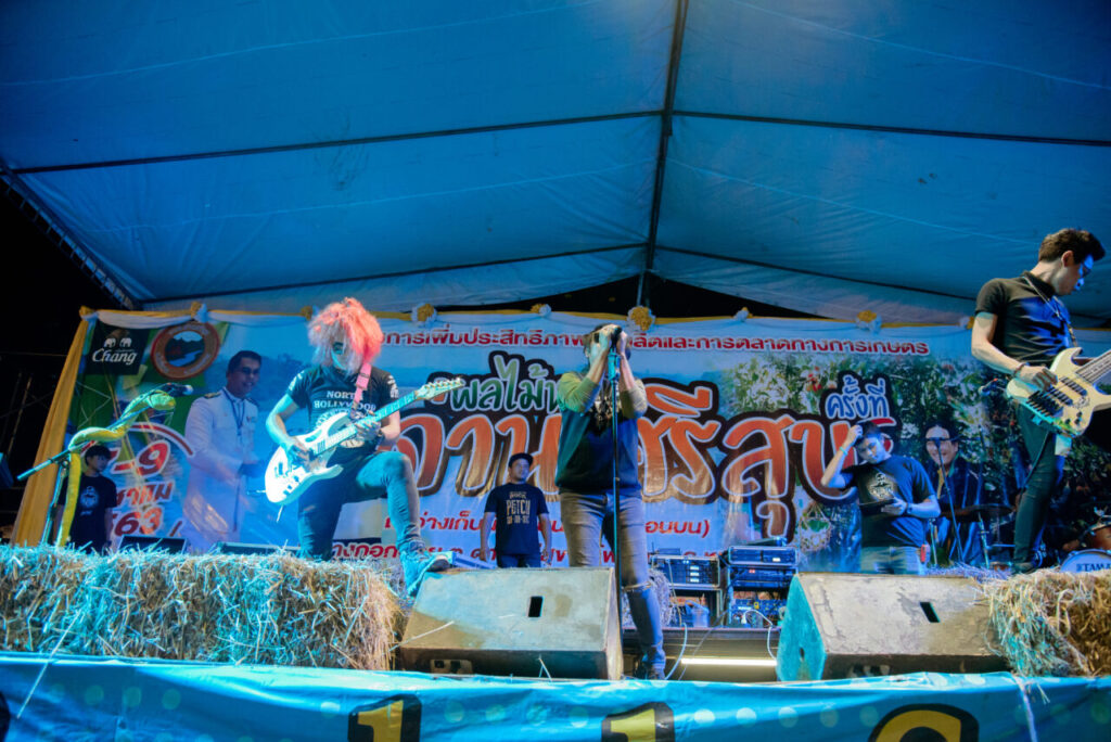 องค์การบริหารส่วนตำบลด่านศรีสุข