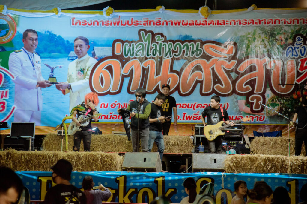 องค์การบริหารส่วนตำบลด่านศรีสุข